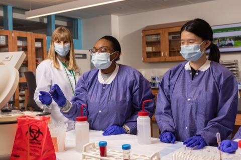 Medical Laboratory Science students work with lab samples with the help of a faculty member.