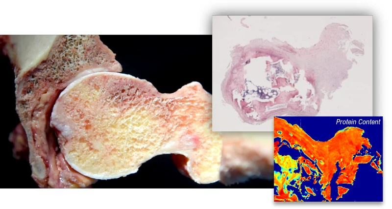 Multiscale assessment